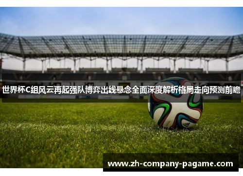 世界杯C组风云再起强队博弈出线悬念全面深度解析格局走向预测前瞻