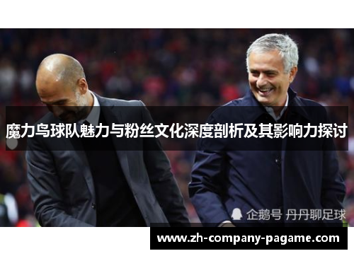 魔力鸟球队魅力与粉丝文化深度剖析及其影响力探讨